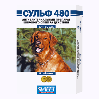Сульф 480 6 таб.